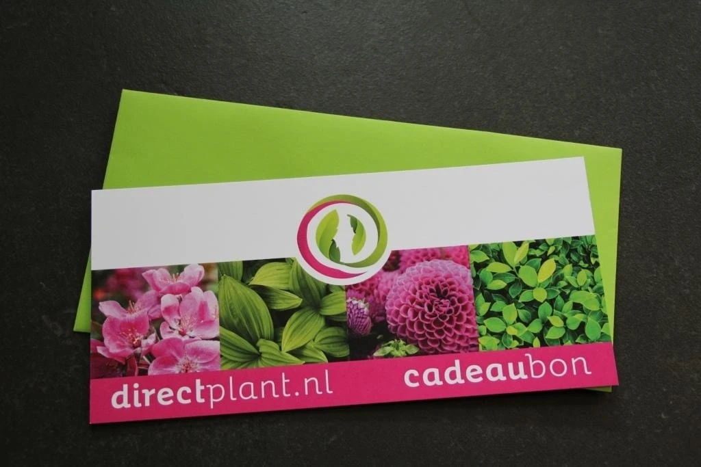 Cadeaubon - Ter Waarde Van 50 Euro 1 Cadeaubon - Ter Waarde Van 50 Euro