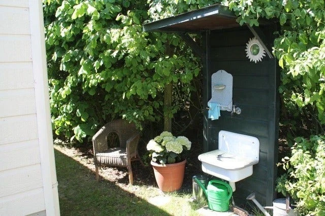 Hortensia (Hydrangea 'Endless Summer The Bride') 5 Hortensia (Hydrangea 'Endless Summer The Bride') - Afbeelding 5